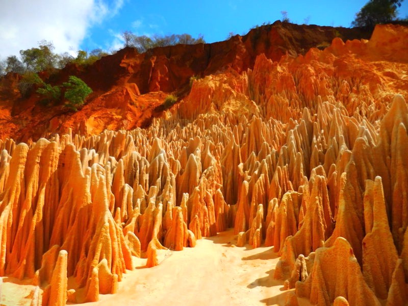 Krajobraz Czerwonych Tsingy na Madagaskarze